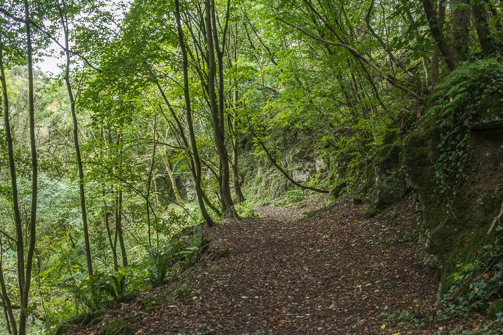 Limestone Way Limestone Way
